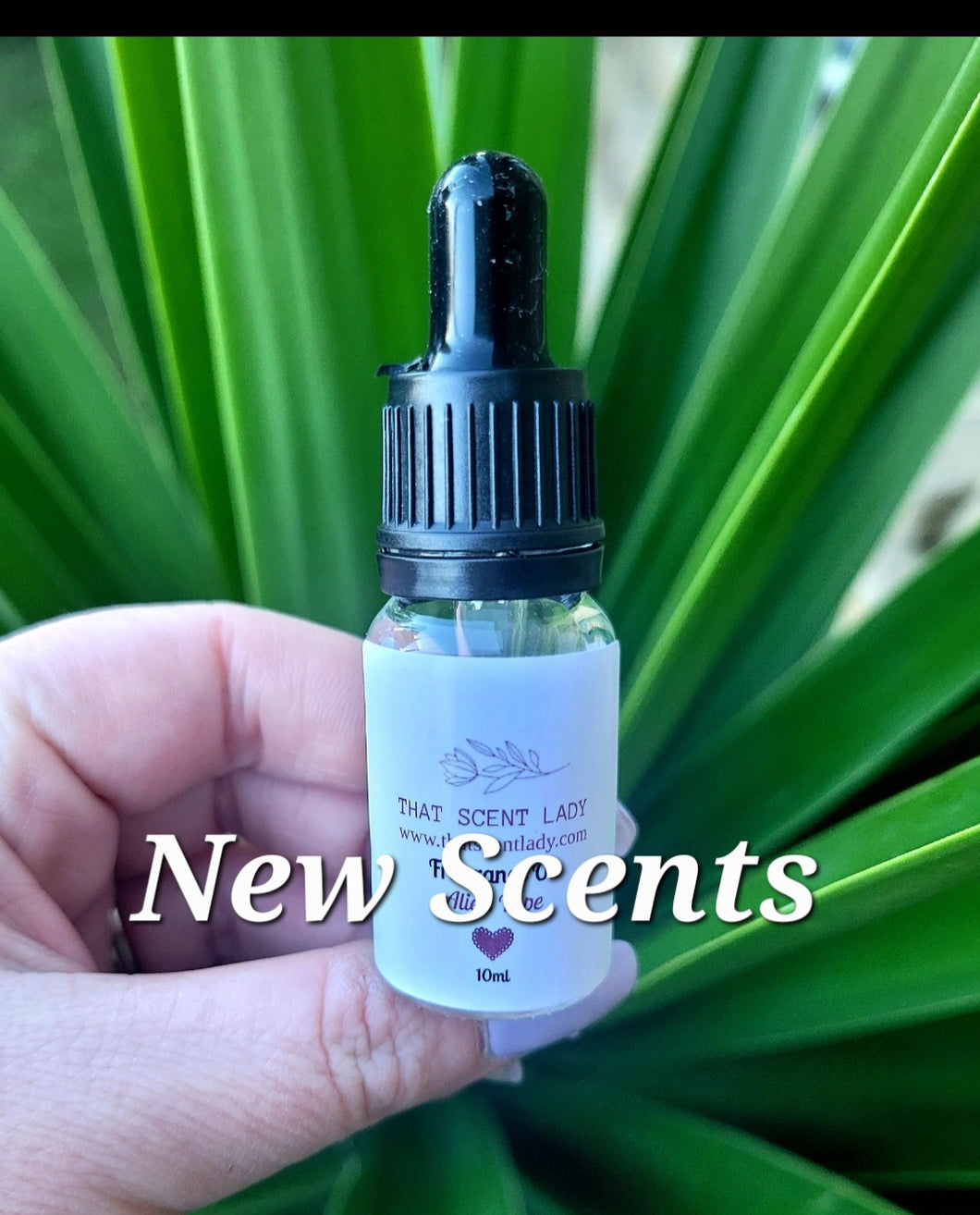10ml Fragrance Oil (New Scents)